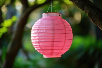 A colorful paper lantern hangs from a tree branch, perfect for outdoor parties or festivals