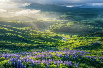 Mountain Landscape with Lupine Fields and Misty Valleys