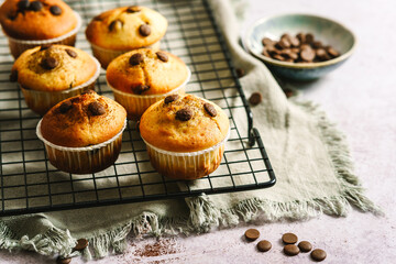 Gebackenen Muffins mit Schokolade auf einem Abkühlgitter. Dessert, hausgemacht.