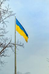 Large flag of Ukraine on a high flagpole. Blue sky and tree branches. National Ukrainian symbol - flag of blue and yellow colors