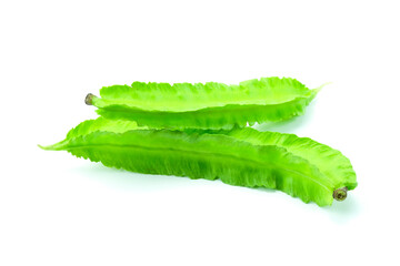 Fresh winged beans or four angle beans or green winged isolated on white background stack closed up.