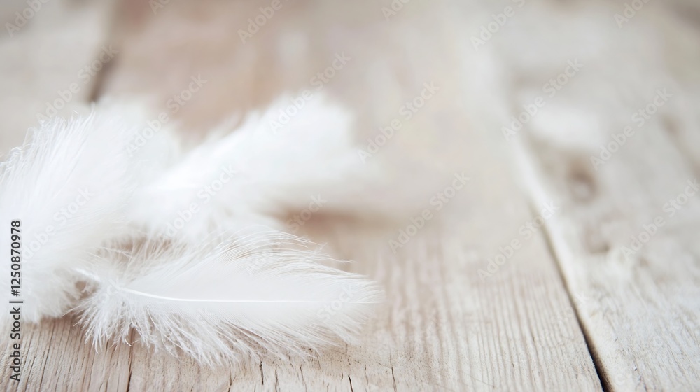 Poster soft white feathers on a light wooden surface for calm and tranquility : generative ai