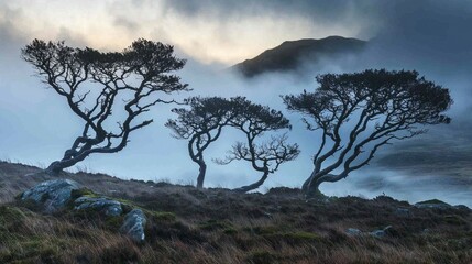 Ethereal Landscape with Windswept Trees in Misty Mountain Scene