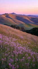 Fototapeta premium Serene Landscape of Rolling Hills with Purple Wildflowers at Sunset