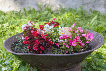 
a beautiful bouquet of flowers planted in a large metal pot.