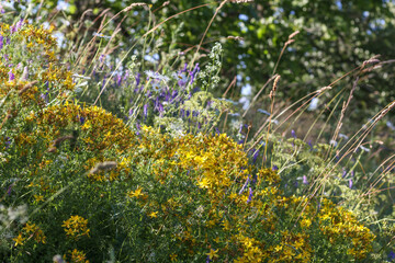 
a beautiful bouquet of flowers with lots of yellow and purple flowers.