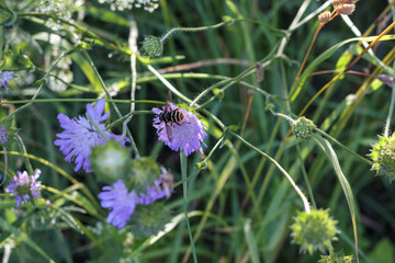 
a beautiful flower bouquet with many different flowers including yellow flowers.