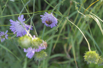 
a beautiful flower bouquet with many different flowers including yellow flowers.