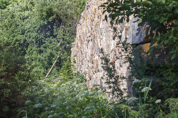 
a partially collapsed masonry wall surrounded by a forest.