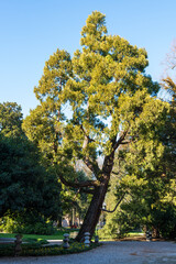 View of Rota Park in San Vito al Tagliamento, Friuli Venezia Giulia, Italy