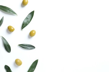 Fresh olive oil and olives with leaves on white background