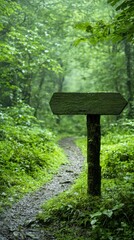 Guided nature trail signage lush forest serene environment wide angle adventure concept