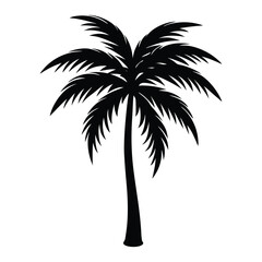 Obraz premium palm tree silhouette