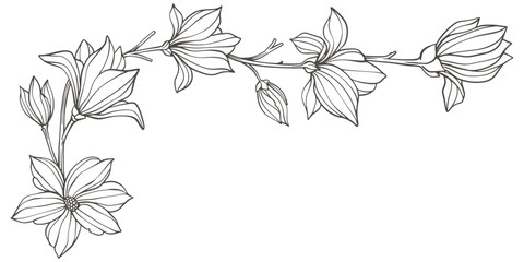 Hand drawn vintage floral corners. Trendy greenery elements for frame in line art style. Vector illustration