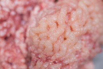 minced pork and chicken