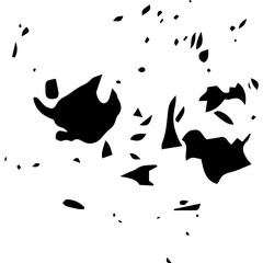  Abstract composition with a contrasting black-and-white pattern and spots