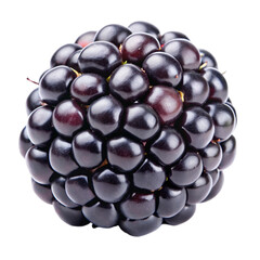 One Blackberry Isolated on White Background, Sweet and Juicy
