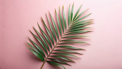 Obraz premium Green Palm Leaf on Soft Pink Background for Fresh Aesthetic Design