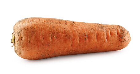 Dirty, unwashed carrot with traces of soil on the surface. Carrot isolated on white background.