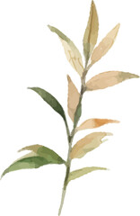 Yellow Blooming Flower Illustration with Green Stem