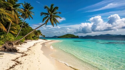 Tropical Beach with Turquoise Water