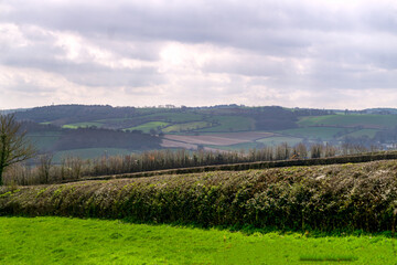Fototapeta premium Landscape of evergreen fields and meadows in England, Devon, Europe.