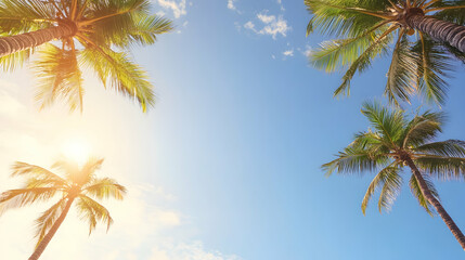 Fototapeta premium Palm trees reaching sky in sunny tropic place, showcasing relaxation destination, for travel blog