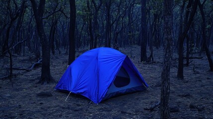 Blue tent, dark forest campsite, night, adventure, travel