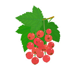 Red currant berry isolated on a white background. Red berries and green leaves in flat style. Vector illustration, colored icon, design element.