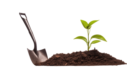 Garden Shovel Next to Freshly Planted Green Seedling in Rich Soil for Sustainable Gardening and Environmental Awareness