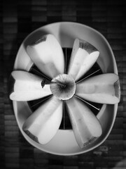 Apple slicer