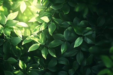 Fototapeta premium Lush Green Leaves Embrace Sunlight