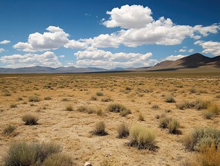 Fototapeta premium Vast arid landscape with distant mountains under a cloudy bright blue sky