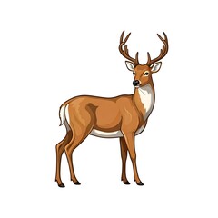 Obraz premium Deer vector illustration