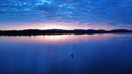 Fototapeta premium Pelican at Dusk Over Reflective Lake