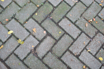 A close-up view of an old brick path textured with geometric patterns and some fallen leaves, showing the urban ground surface.