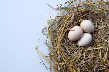 Straw nest containing white eggs, top view isolated on white background. suitable for Happy Easter Decoration, template for tag, gift greeting card, advertising promo shopping banner.