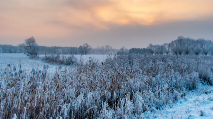  Piękno śnieznej i mroznej zimy w Dolinie Narwi i Biebrzy - Podlasie, Polska