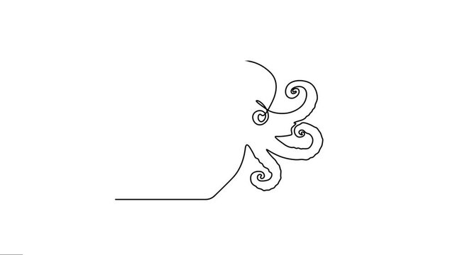 Animated continuous single-line drawing of an octopus elegance motion graphics.   