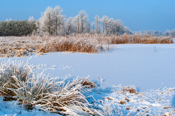  Piękno śnieznej i mroznej zimy w Dolinie Narwi i Biebrzy - Podlasie, Polska © podlaski49