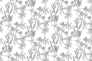 Line art botanical abstract seamless plant pattern with Clover wildflowers vector illustration. Black and white outline repeating floral background. Graphic design for Wallpaper Textile Cover Birthday