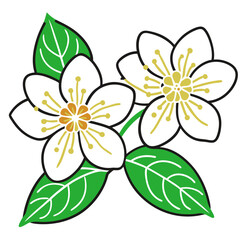 vector illustration of a flower