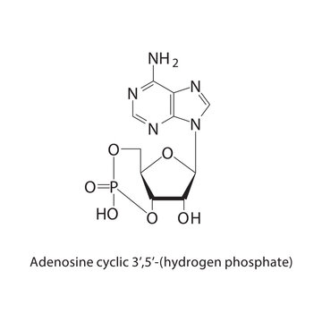 Allylbenzene skeletal structure.Aromatic hydrocarbon compound schematic illustration. Simple diagram, chemical structure.