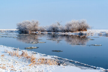  Piękno śnieznej i mroznej zimy w Dolinie Narwi i Biebrzy - Podlasie, Polska