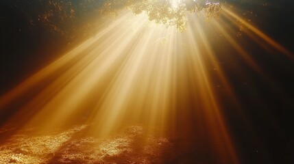 Sunlight beams through underwater cave