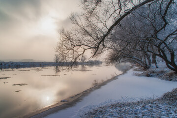  Piękno śnieznej i mroznej zimy w Dolinie Narwi i Biebrzy - Podlasie, Polska