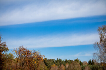 Obraz premium A Serene Autumn Sky Illuminated by Wispy Clouds Above the Colorful Foliage Below