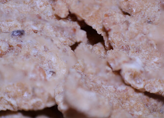 The Crispy Details, A Close Up of Cornflakes, Breakfast in Focus