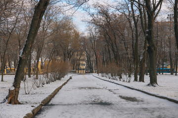 Winter Park. Walking around the city. Winter landscape in Ukraine. White snow in the city park. Cold weather, season. Snow-covered ground on the city street. Dnipro city