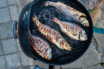 Grilled Fish Sizzling on a Charcoal Barbecue During a Lively Outdoor Gathering on a Sunlit...